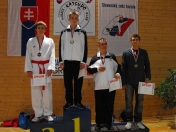 200812041502290.47_karate_roman