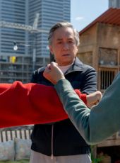 Karate Kid: Legendy